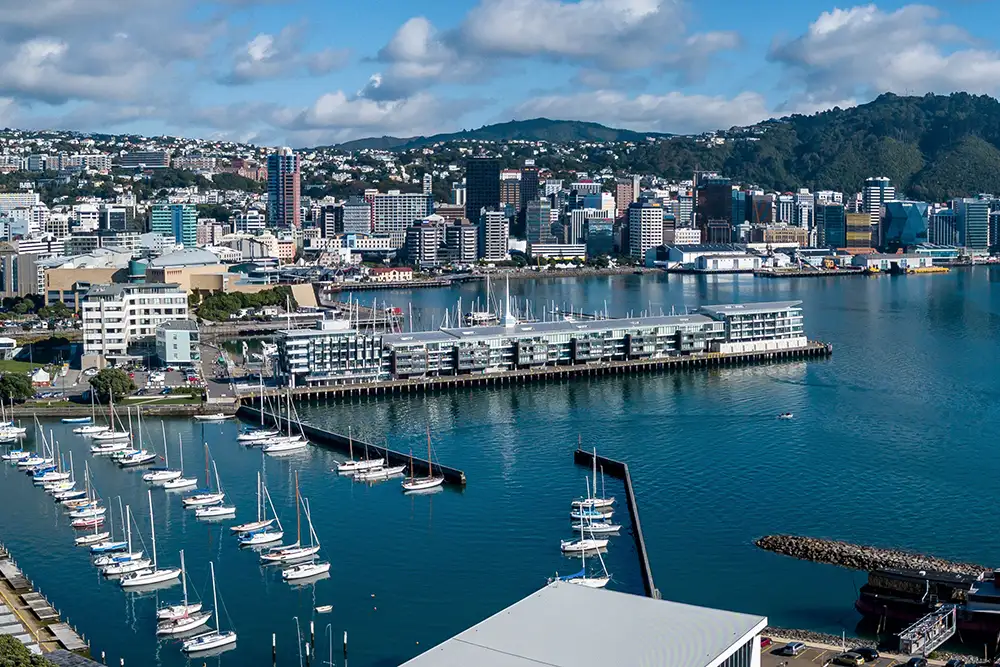 wellington